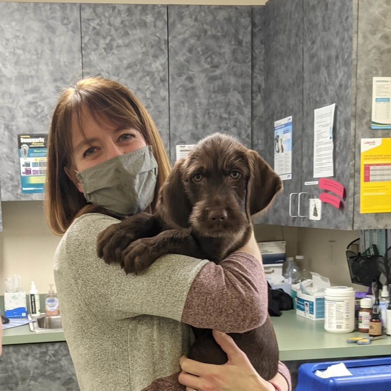 Pet Photo Gallery Pittsburgh, PA 15220 Greentree Animal Clinic