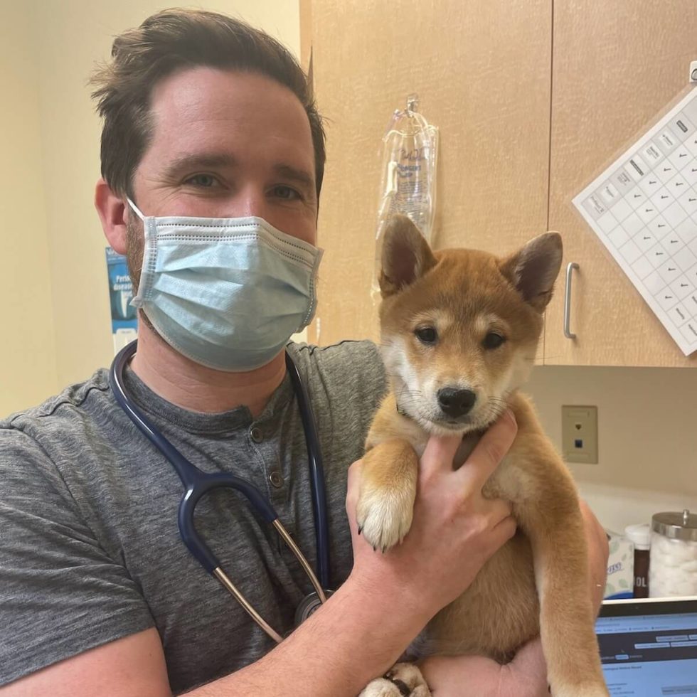 Pet Photo Gallery Pittsburgh, PA 15220 Greentree Animal Clinic