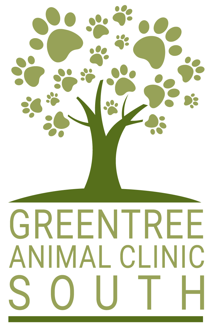 Vet Near Me South Fayette, PA 15017 - Greentree Animal Clinic South